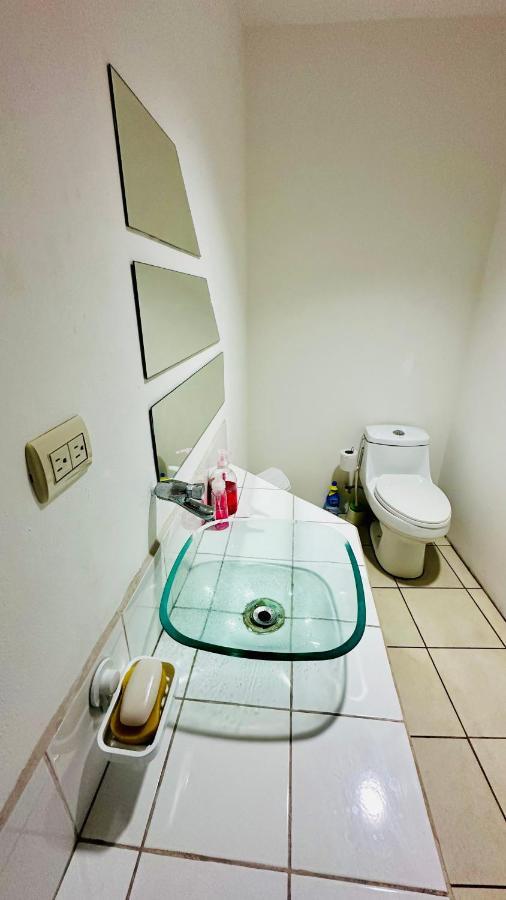 Sjo Oasis Hostel Сан-Хосе Экстерьер фото